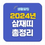 2024년 삼재띠