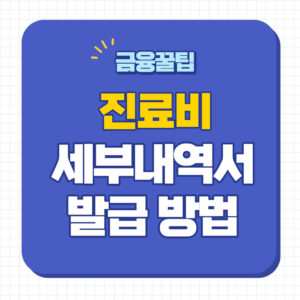 진료비 세부내역서 발급