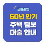 50년 만기 주담대