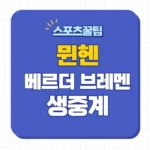 뮌헨 베르더 브레멘 중계