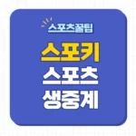 스포키 편성표