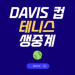 데이비스컵 테니스대회 중계