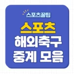 스포츠 중계