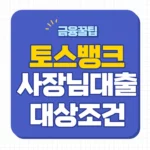 토스뱅크 사장님대출